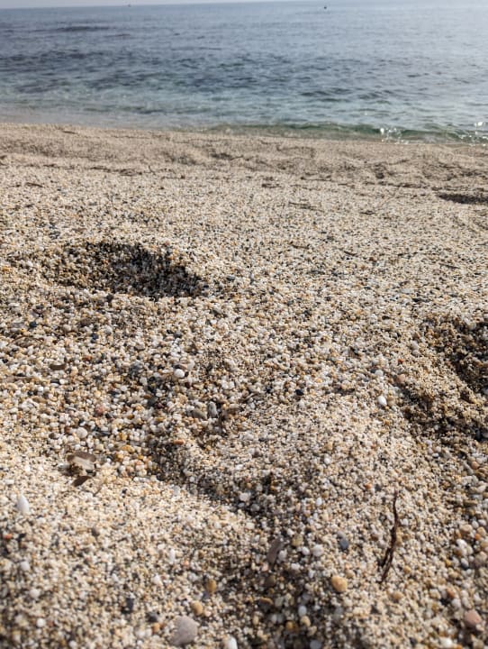 Strand TUI SUNEO Chrissi Amoudia