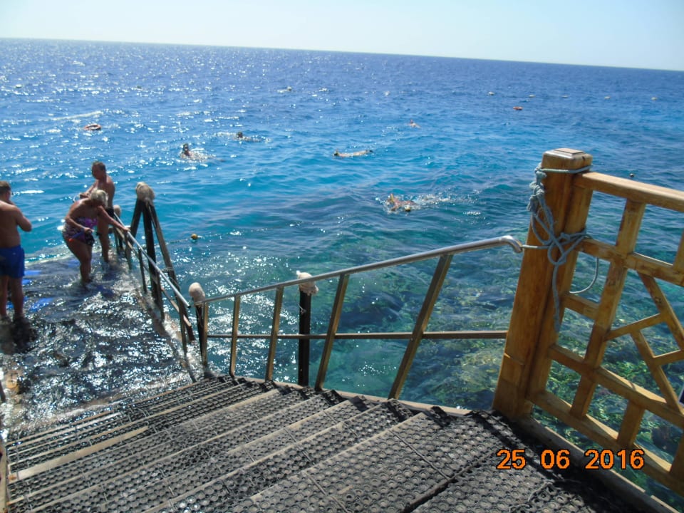 Einstieg ins Meer Grand Makadi