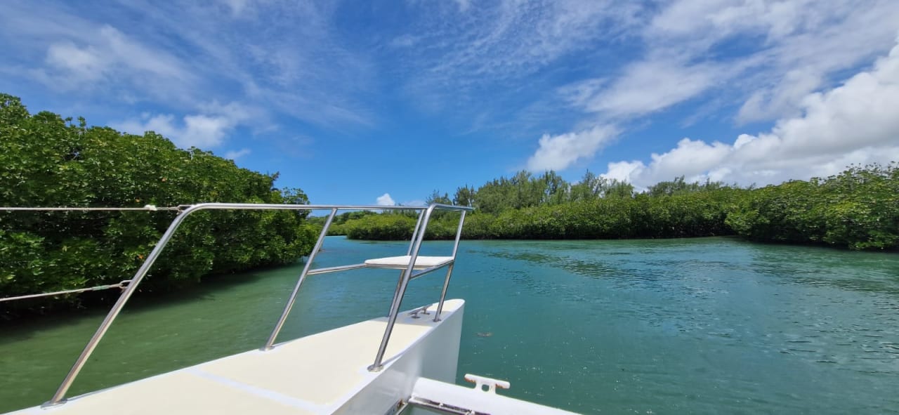 Ausblick Lagoon Attitude - Adults only