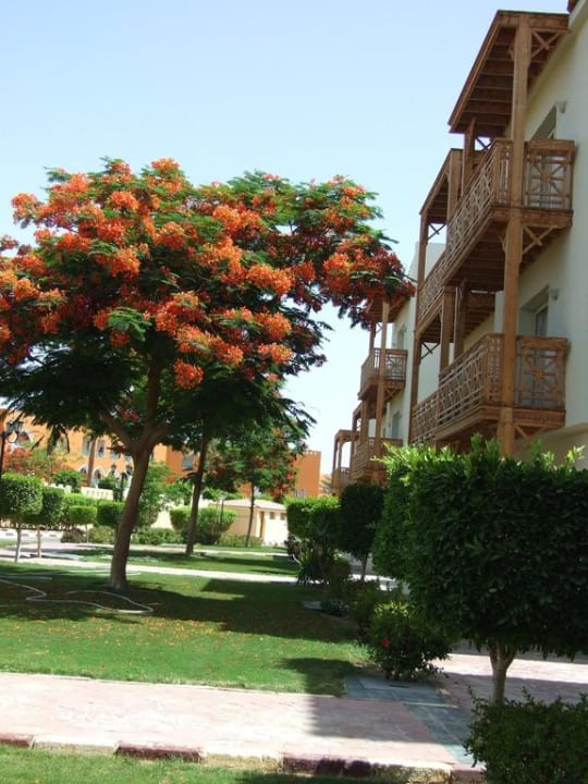 Garten  Pickalbatros Dana Beach Resort - Hurghada