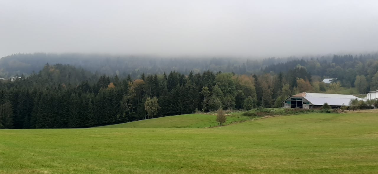 Ausblick 1. Bier & Wohlfühlhotel Gut Riedelsbach