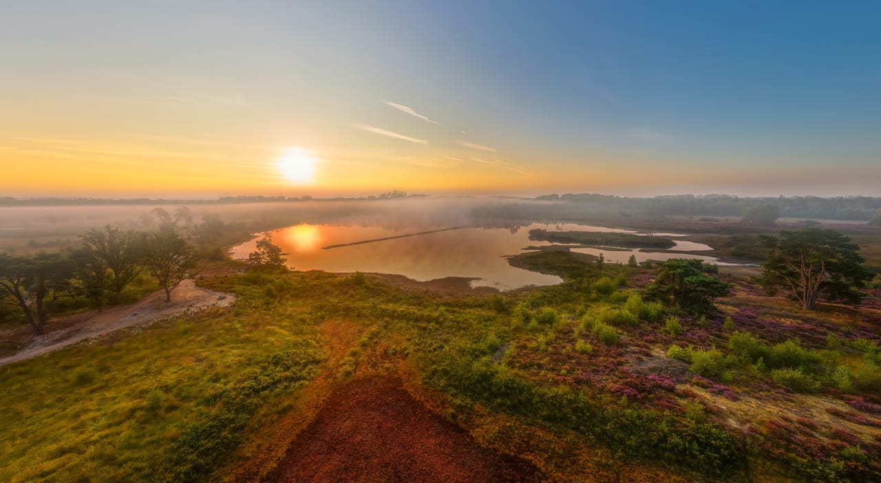 Ausblick Center Parcs De Kempervennen
