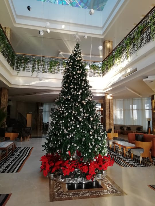 Lobby Jaz Soma Beach