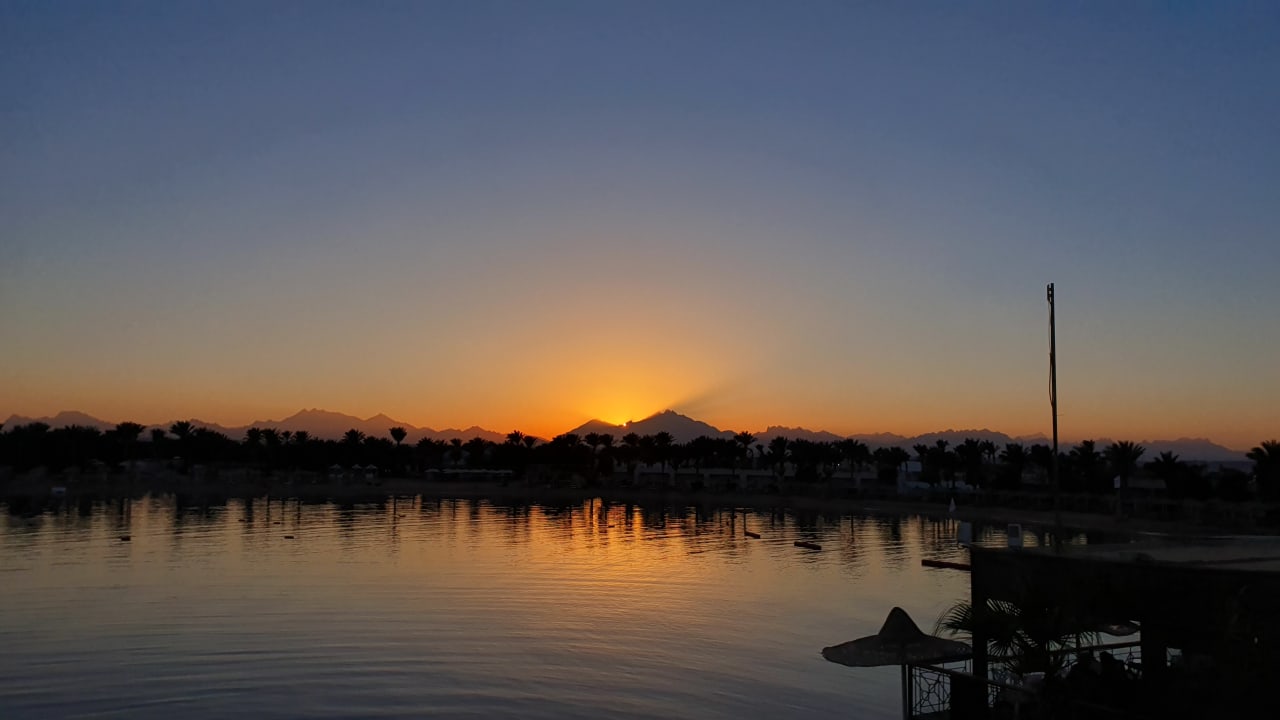 Ausblick Desert Rose