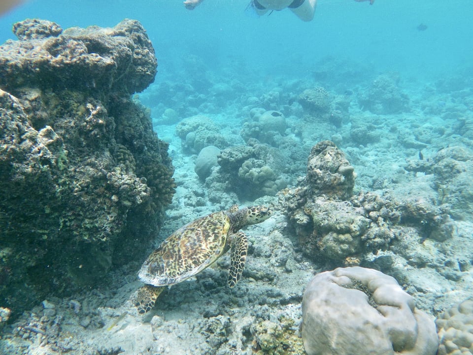 Sport & Freizeit Kuramathi Maldives