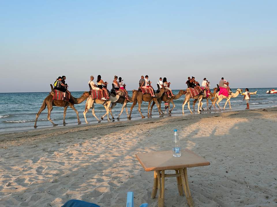 Strand Vincci Dar Midoun
