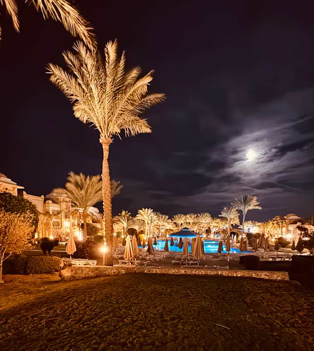 Pool Serenity Alpha Beach