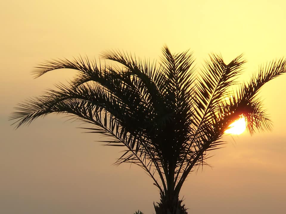 Beach Riviera Aqua Park Resort