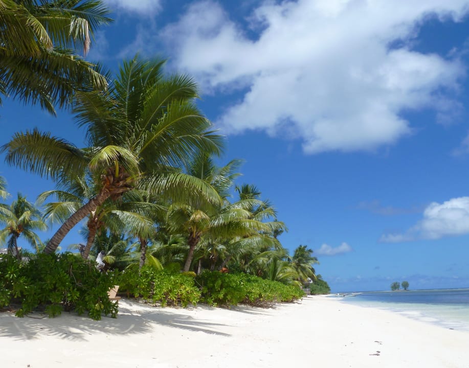 Strand Anse Reunion La Digue Island Lodge La Digue Island Lodge