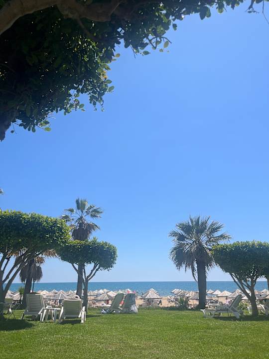 Gartenanlage Hotel Defne Garden