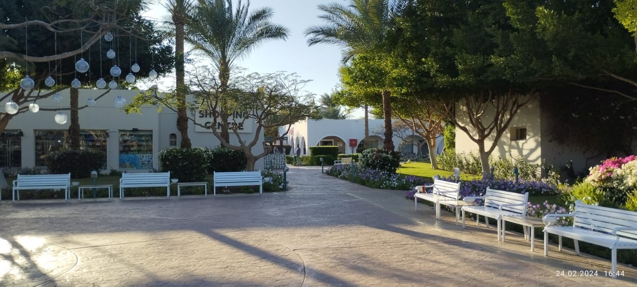 Außenansicht Desert Rose