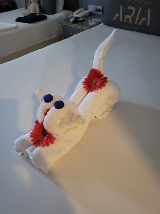 Zimmer Aria Resort & Spa