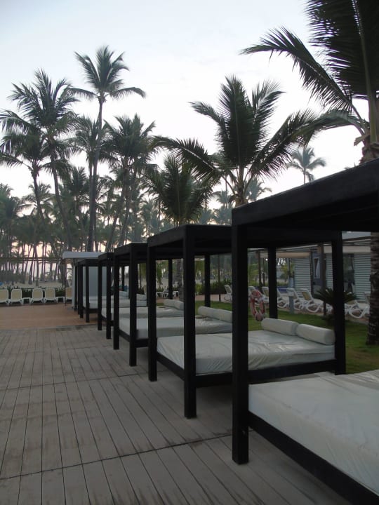 Pool Hotel Riu Palace Macao - Adults only