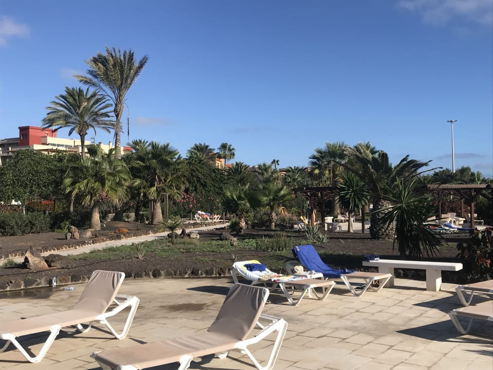 Gartenanlage Elba Carlota Beach & Golf Resort