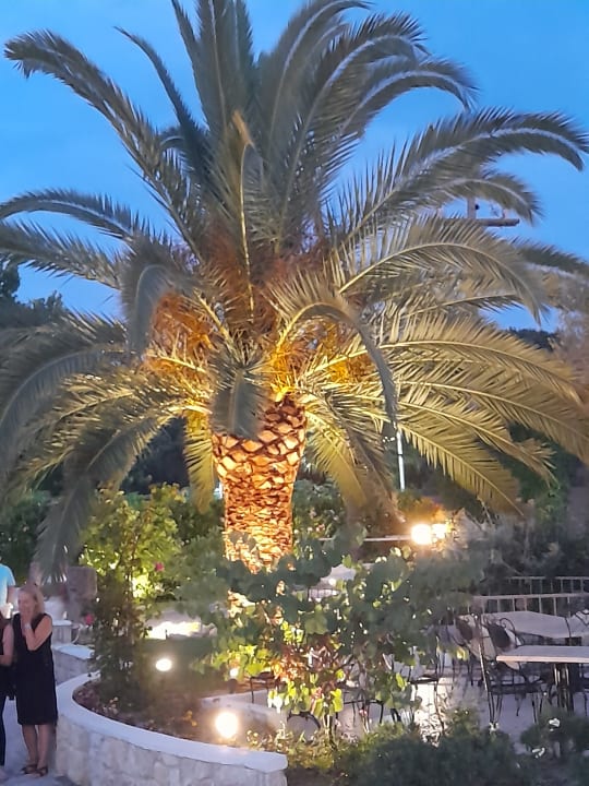 Gartenanlage Hotel Chrousso Village