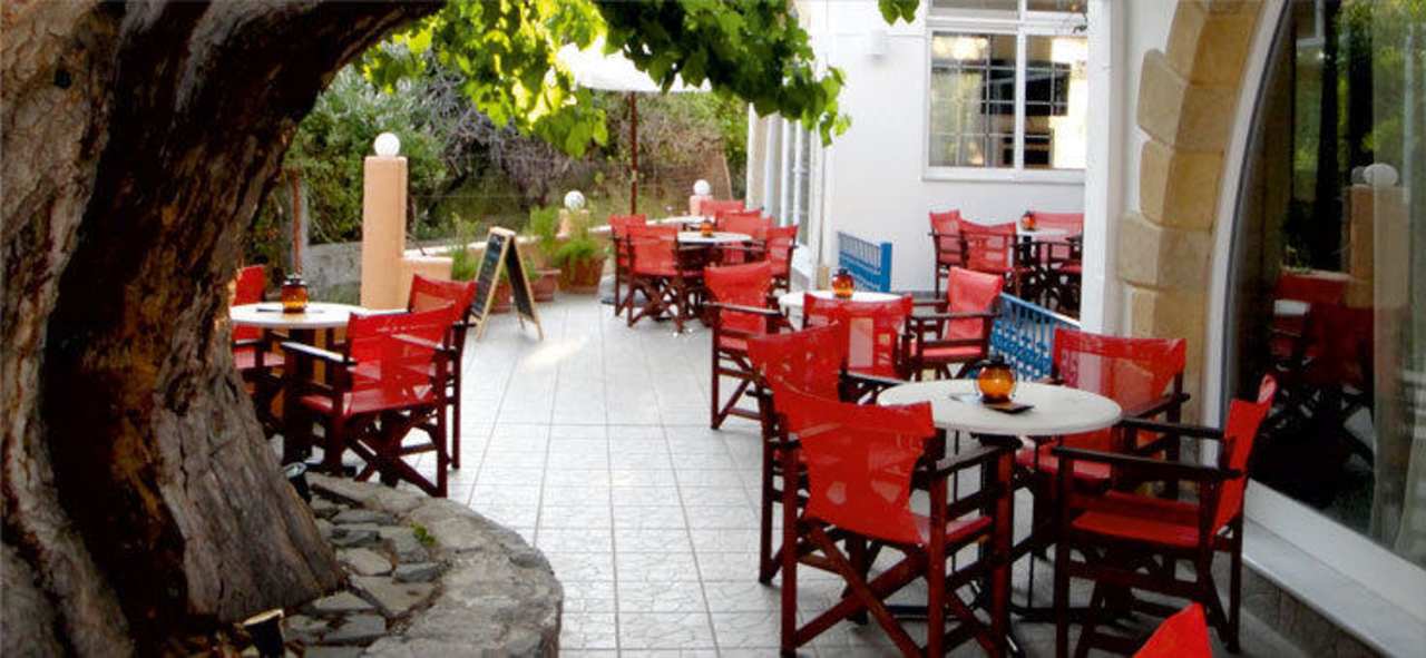 Fontana Cafe Bar patio under the mulberry tree Effies Dreams Holiday Studios