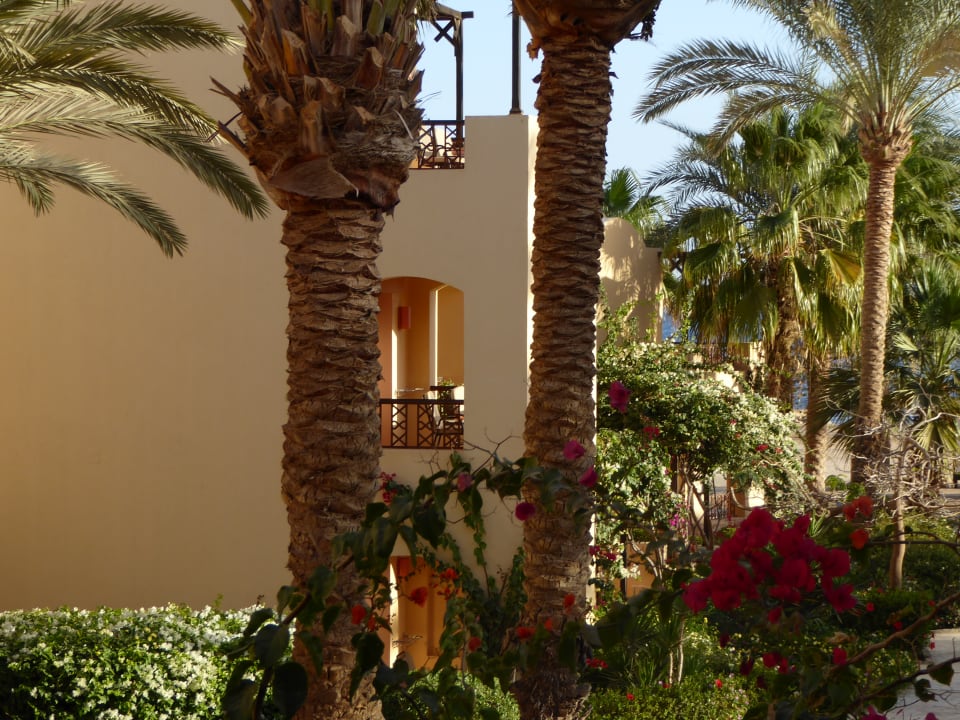 Gartenanlage Steigenberger Coraya Beach - Adults only