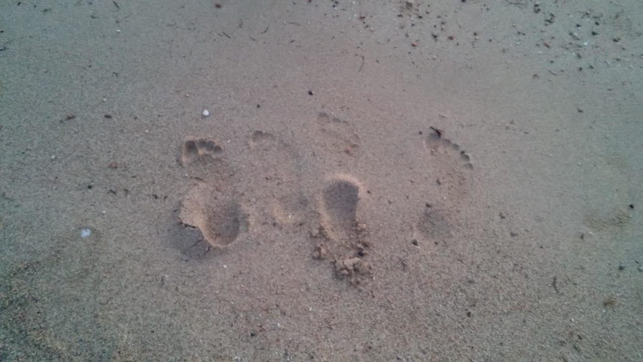 Unsere Spuren im Sand Fantazia Resort Marsa Alam