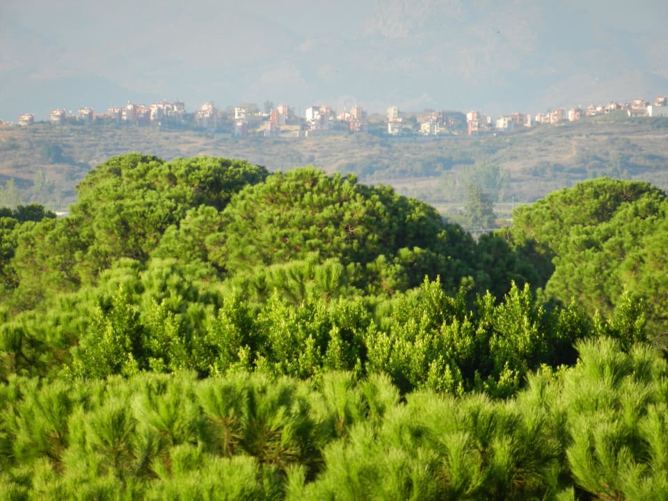 Xanadu  Xanadu Resort Hotel