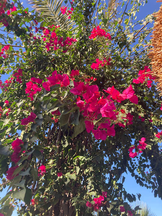 Außenansicht Annabella Diamond Hotel & Spa