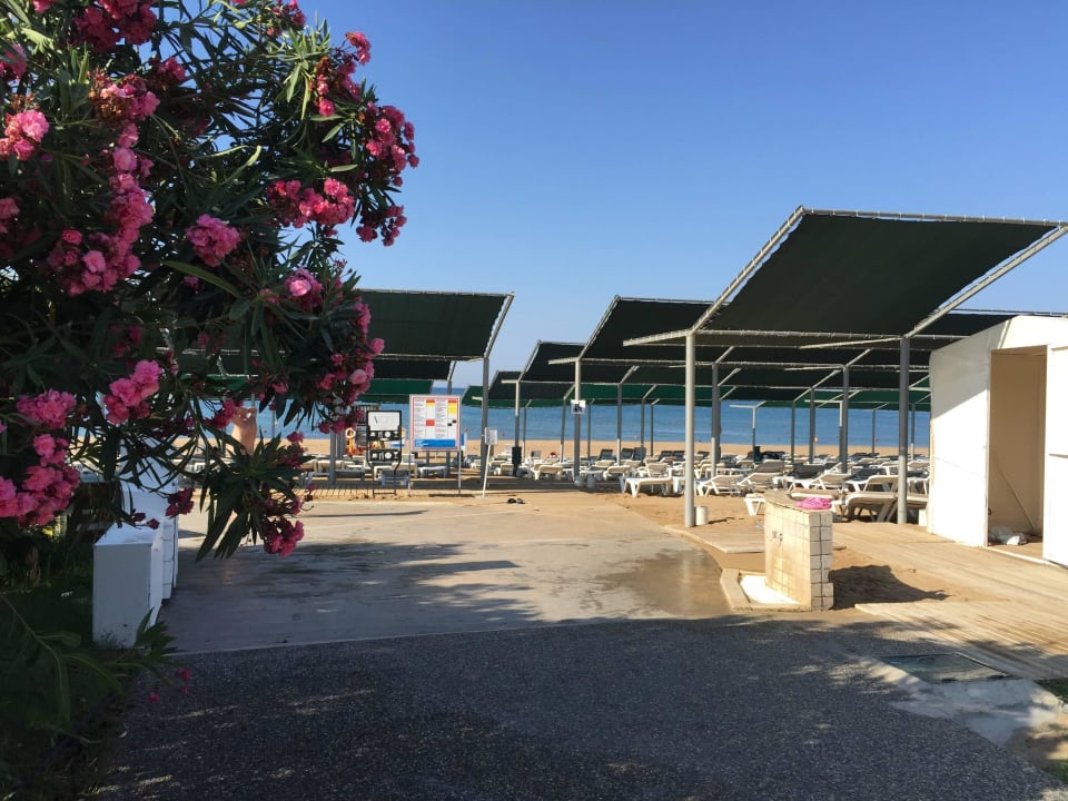 Weg zum Strand VONRESORT Golden Coast