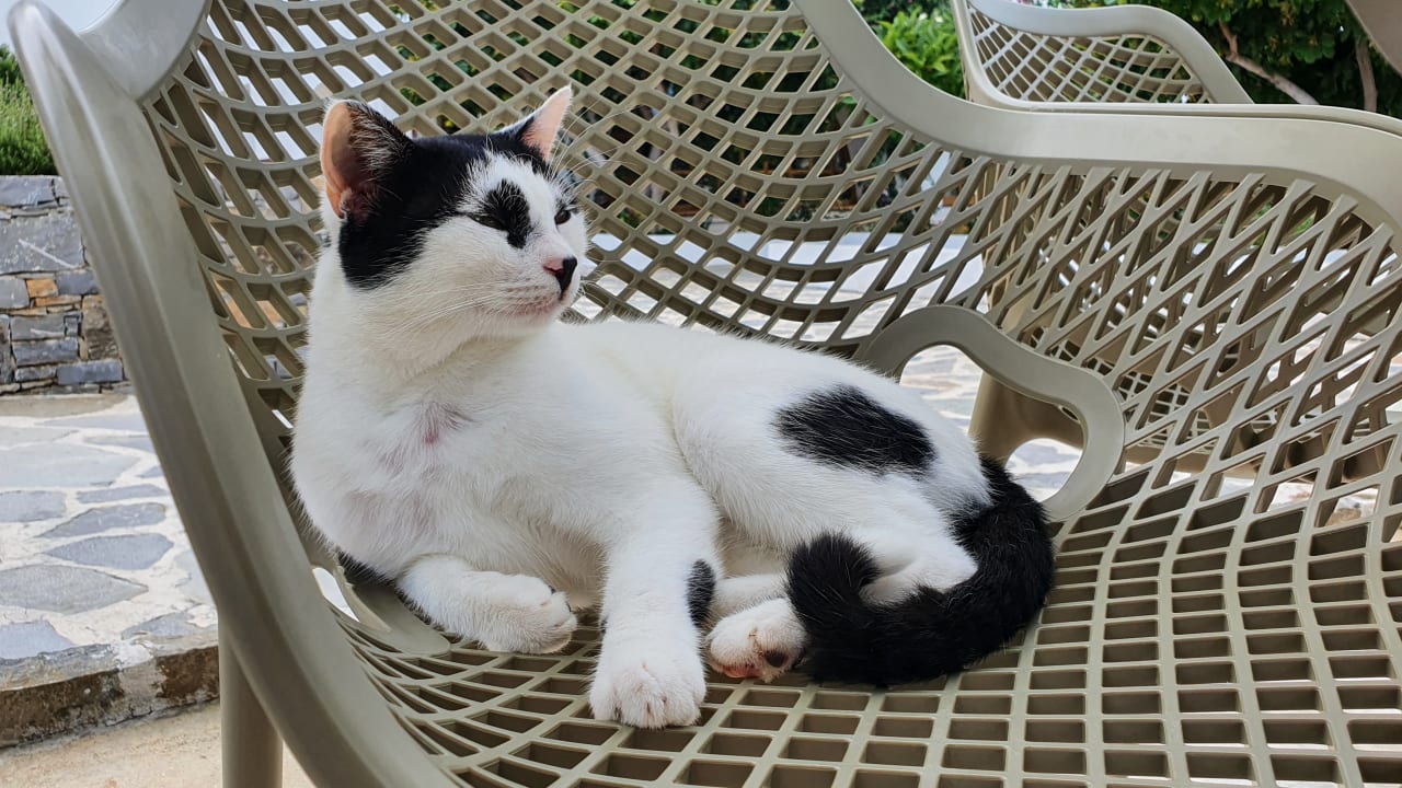 Sonstiges Creta Maris Resort