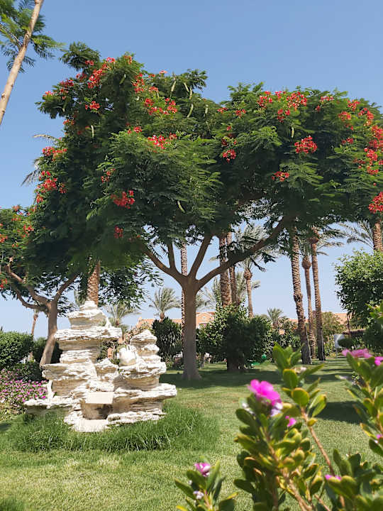 Gartenanlage Sentido Caribbean World Soma Bay