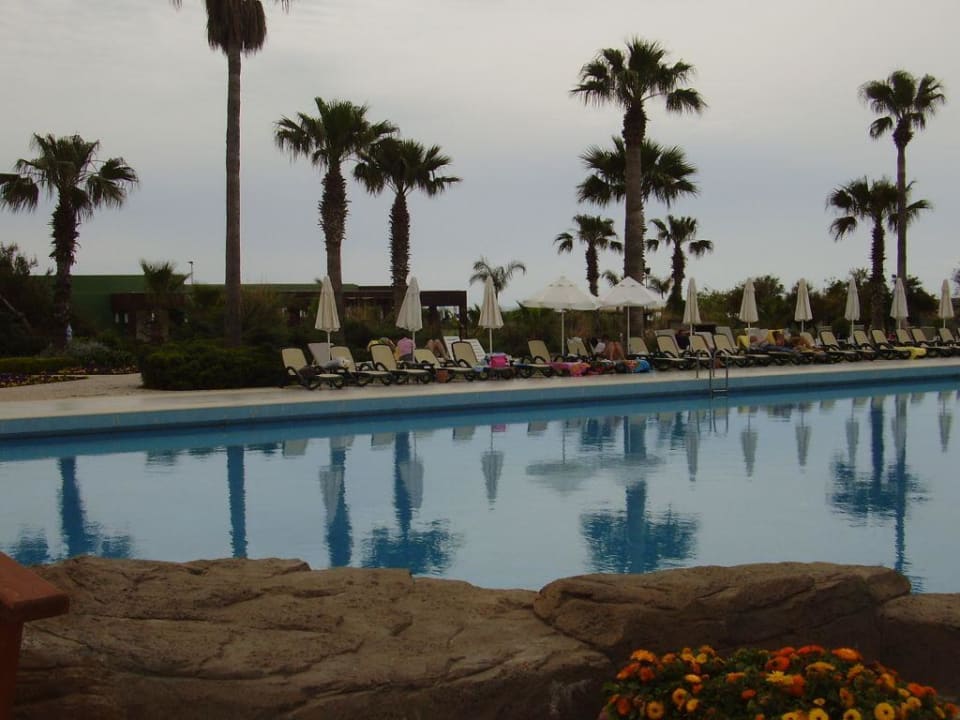 Pool Delphin BE Grand