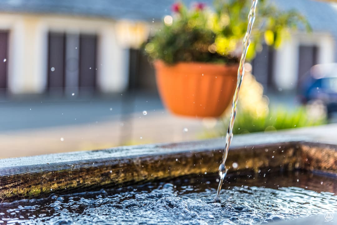 Gartenanlage Alpengasthof Moser