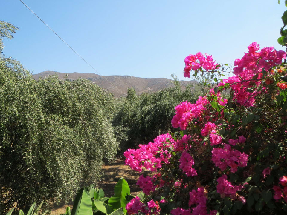 Blick vom Balkon Hotel Marina Village