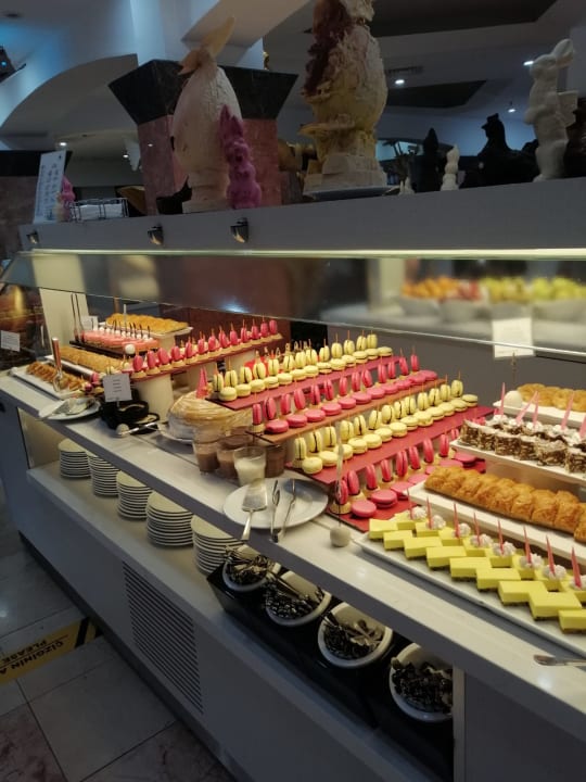 Gastro Asteria Collection Side