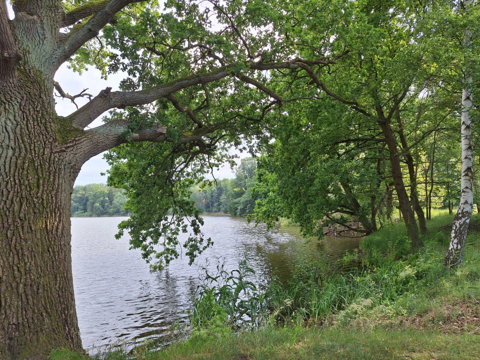 Strand Ferienhausvermietung Liane Zemlin