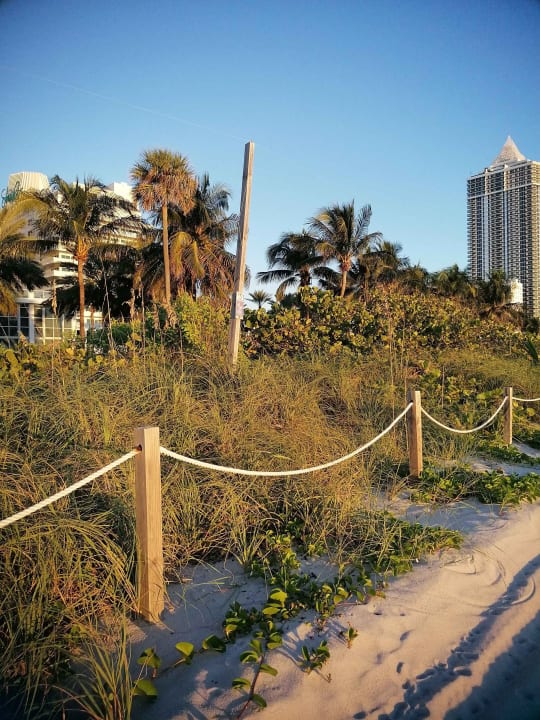 Strand Eden Roc Miami Beach
