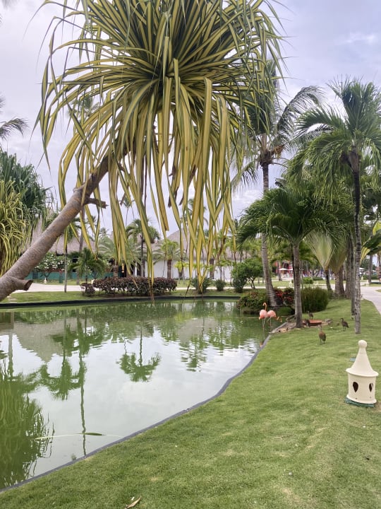 Gartenanlage Caribe Deluxe Princess