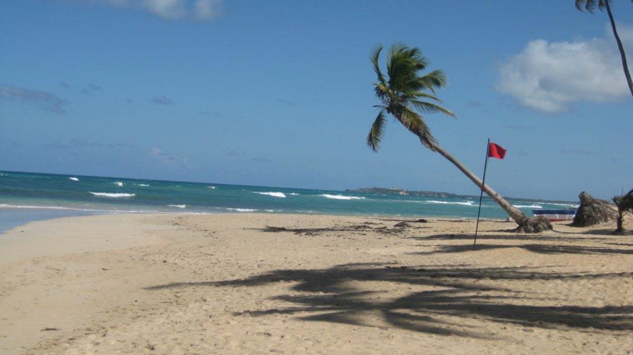 Die Fotopalme Wyndham Alltra Punta Cana