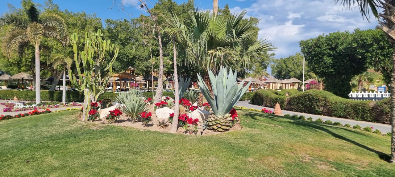 Gartenanlage ROBINSON SOMA BAY