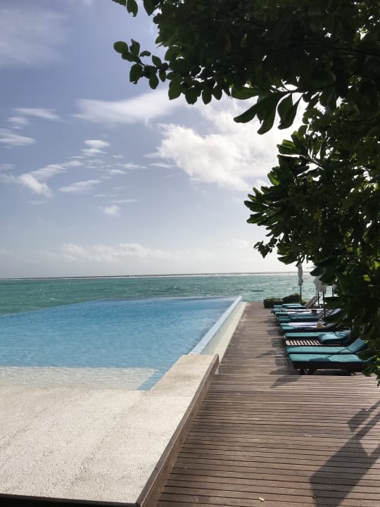 Pool Summer Island Maldives