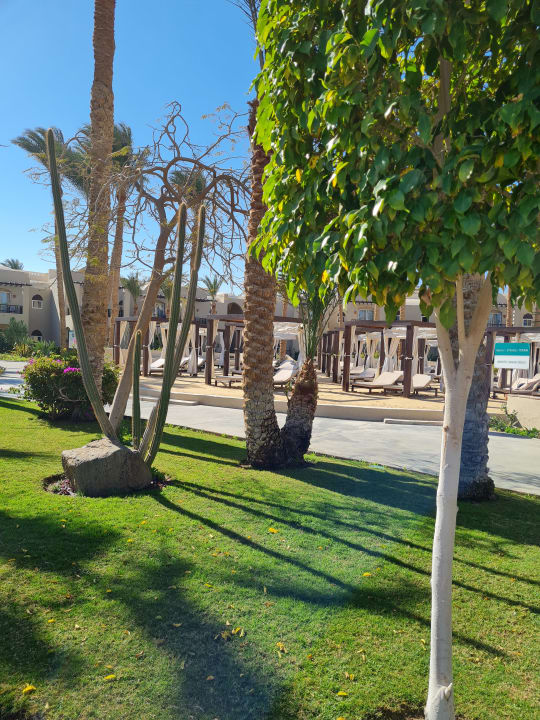 Gartenanlage Jaz Makadi Oasis Resort
