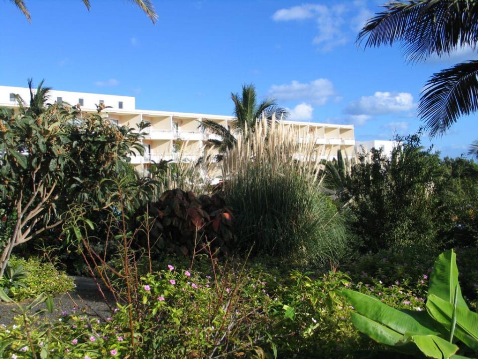 Gartenanlage allsun App.-Hotel Esquinzo Beach