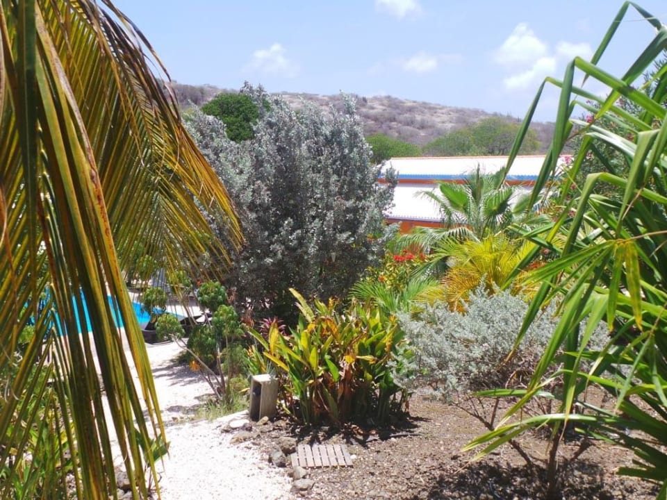 Ferienhaus Tikki-Balu Don Genaro Apartments