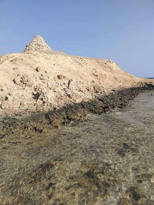 Außenansicht Novotel Marsa Alam Beach Resort