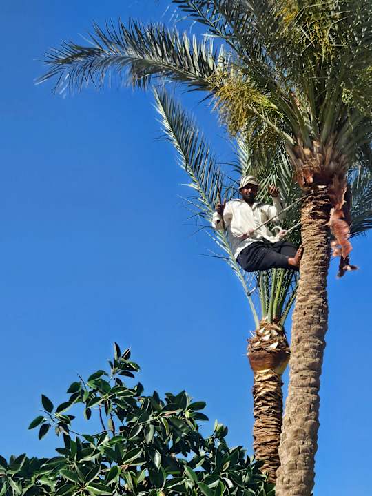 Gartenanlage Steigenberger Aqua Magic
