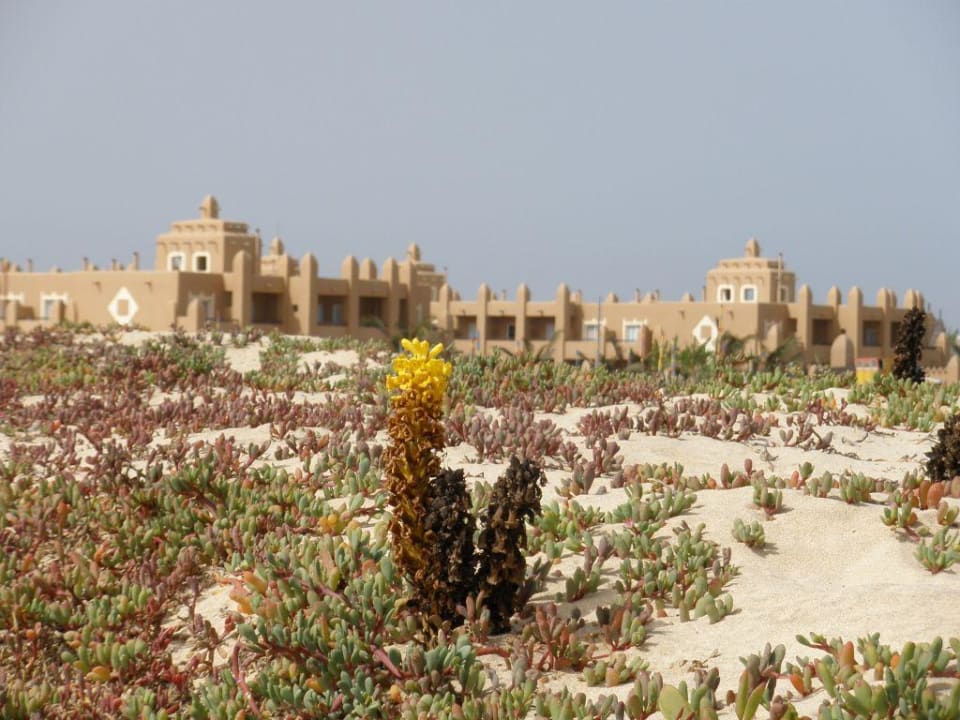 Riu Funana vom Strand aus Hotel Riu Funana