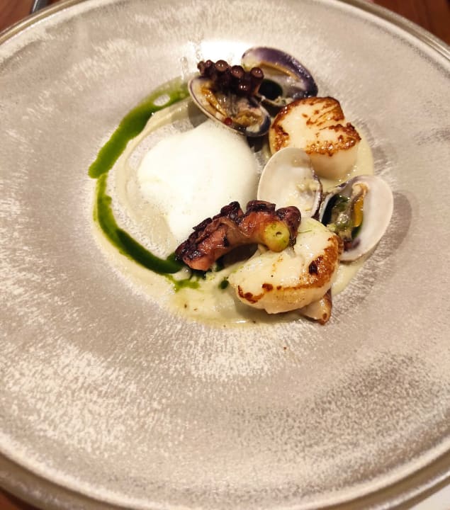 Gastro Acanthus Cennet Barut Collection