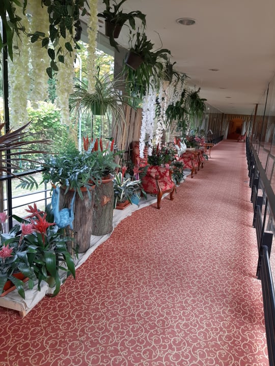 Sonstiges Kurhotel Pawlik - Aquaforum