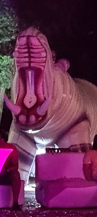 Sport & Freizeit Fame Residence Lara & Spa