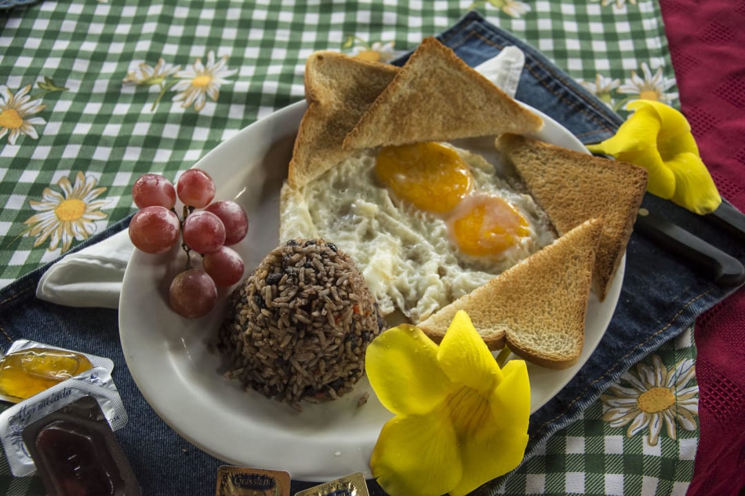 Desayuno incluido Tipico Hotel Vagabondo