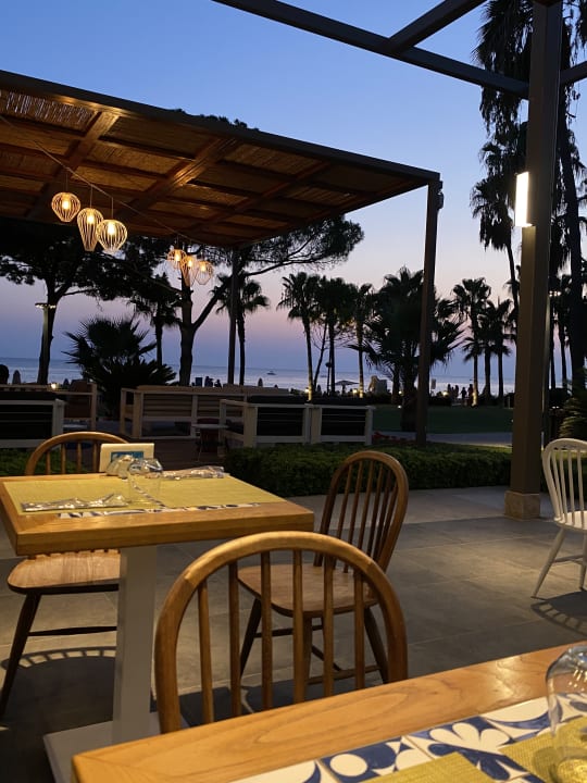 Gastro Acanthus Cennet Barut Collection