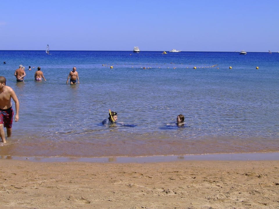 Schöner Sandstrand Ghazala Gardens