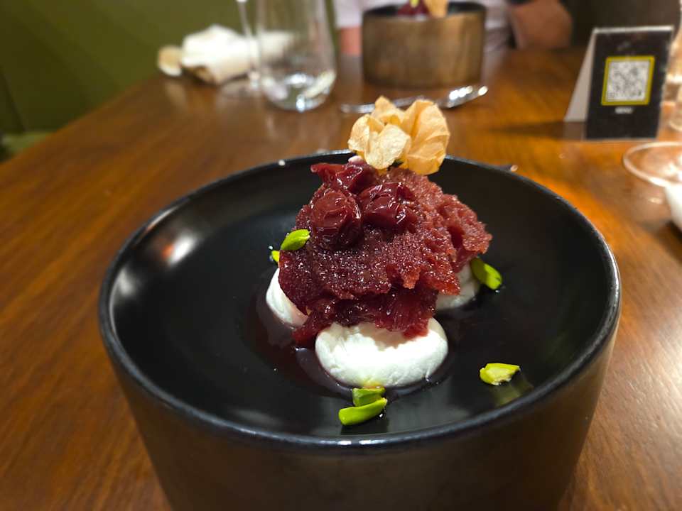 Gastro Acanthus Cennet Barut Collection